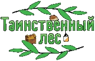"Таинственный Лес" - 9й этап кубка "Золотой Маршрут" 2019